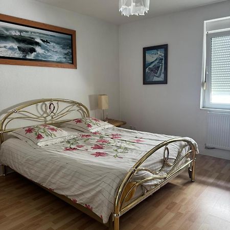 200 M Centre Ville Maison Mitoyenne Avec Place De Parking Gratuite 埃皮纳勒 外观 照片